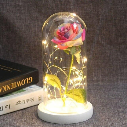 Rose Flower Glass Cover LED Lamp - HEPSIBAH SHOP