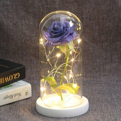 Rose Flower Glass Cover LED Lamp - HEPSIBAH SHOP