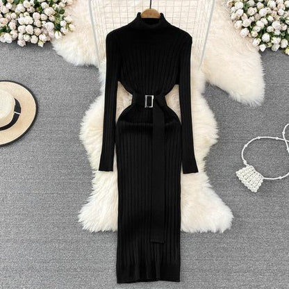 Chic Elegant Turtleneck Long Sleeve Bodycon Dress - HEPSIBAH SHOP