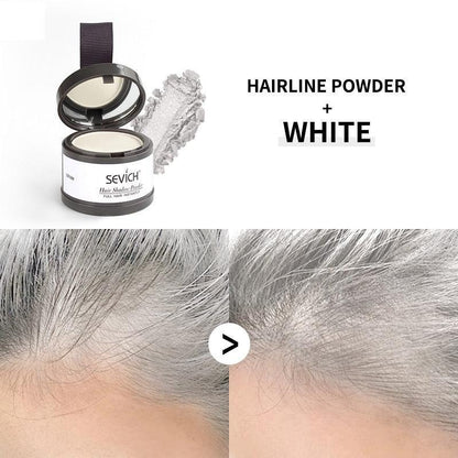 Water Proof hair line powder in hair color Edge control Hair Line Shadow Makeup Hair Concealer Root Cover Up Unisex Instantly - HEPSIBAH SHOP