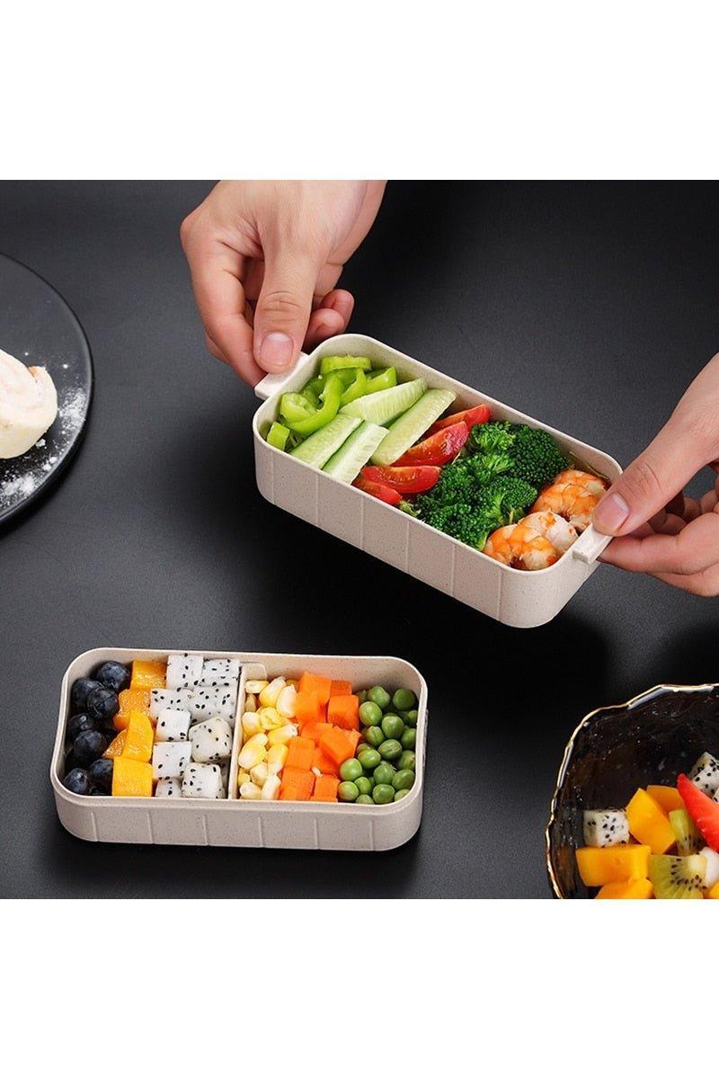 lunch box for kids bento box picnic tableware - HEPSIBAH SHOP