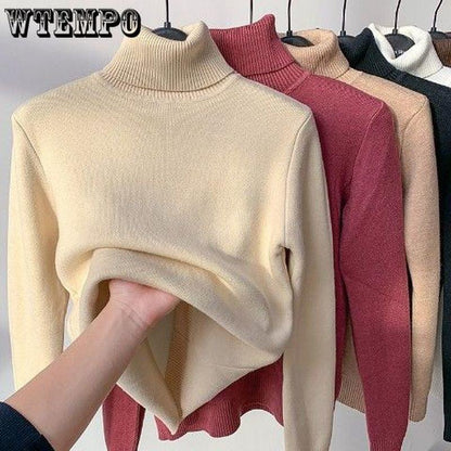 Turtle Neck Winter Sweater Women Elegant Thick Warm Female Knitted Pullover Loose Basic Knitwear Jumper Drop Shipping - HEPSIBAH SHOP