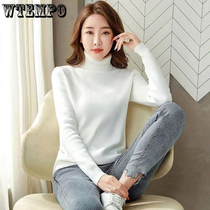 Turtle Neck Winter Sweater Women Elegant Thick Warm Female Knitted Pullover Loose Basic Knitwear Jumper Drop Shipping - HEPSIBAH SHOP