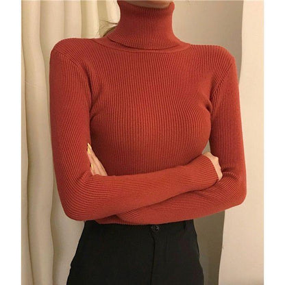 ABRINI Women Turtleneck Sweaters - HEPSIBAH SHOP