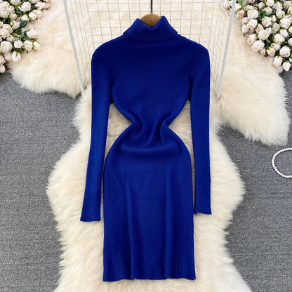 Elegant Turtleneck Long Sleeve Knit Bodycon Pencil Dress - HEPSIBAH SHOP