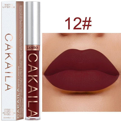 Sexy Long Lasting Velvet Matte Lip Gloss - HEPSIBAH SHOP